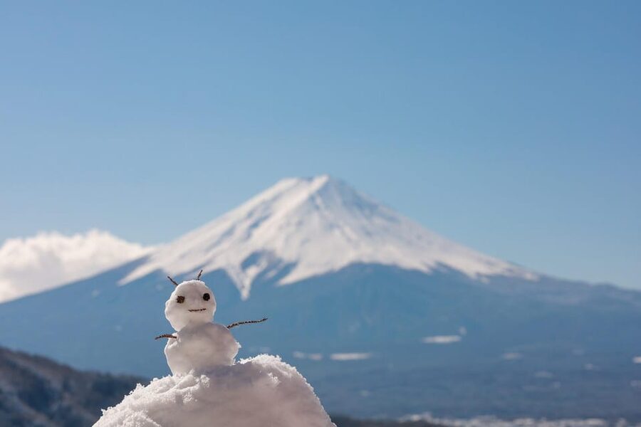 From Tokyo: Mount Fuji Customizable Private Day Tour - Starting early and crossing Tokyo traffic
