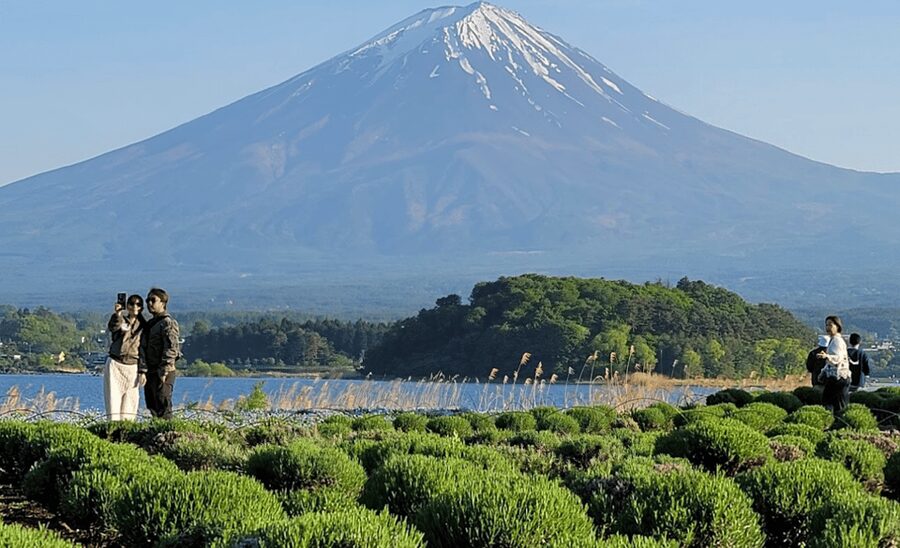 From Tokyo:Mount Fuji&Hakone Customize Full Day Private Tour - Building the right 10-hour itinerary