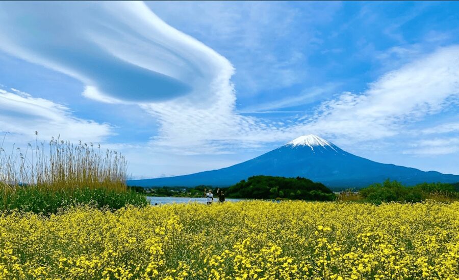 From Tokyo:Mount Fuji&Hakone Customize Full Day Private Tour - Oshino Hakkai and the quieter side of Fuji