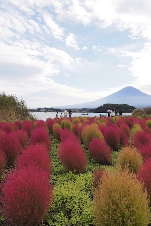 From Tokyo:Mount Fuji&Hakone Customize Full Day Private Tour - Two shrines with a different sense of place