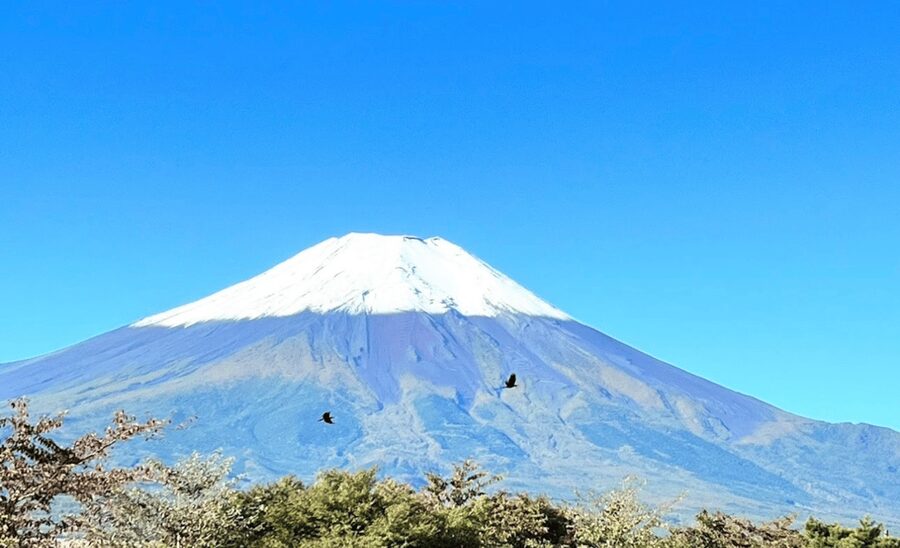 From Tokyo:Mount Fuji&Hakone Customize Full Day Private Tour - Gotemba Premium Outlets for a late-day change