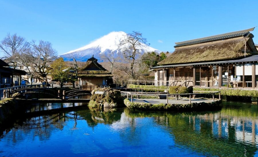 From Tokyo:Mount Fuji&Hakone Customize Full Day Private Tour - Drivers, communication, and the private feel