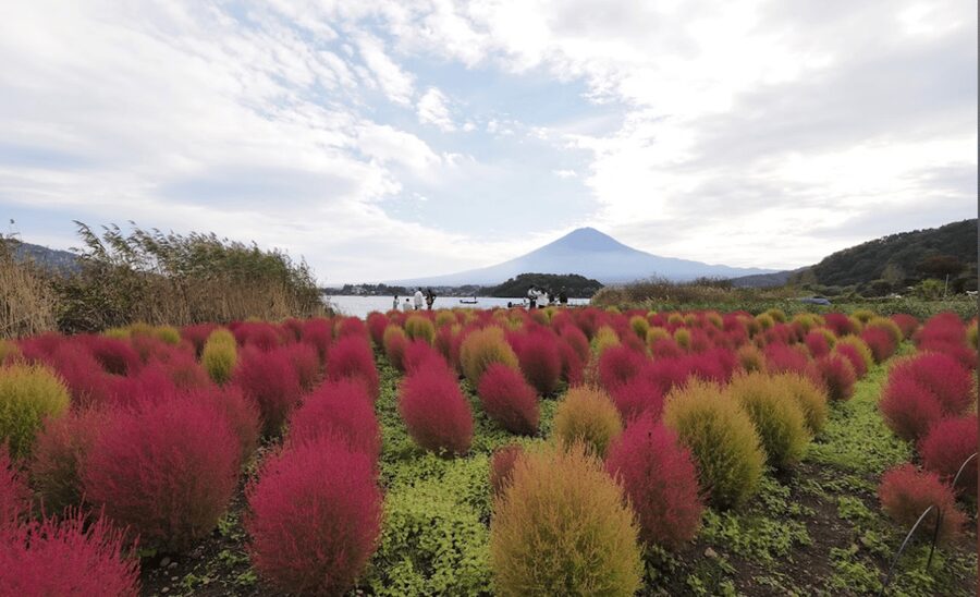 From Tokyo:Mount Fuji&Hakone Customize Full Day Private Tour - Mount Fuji 5th Station, the high viewpoint
