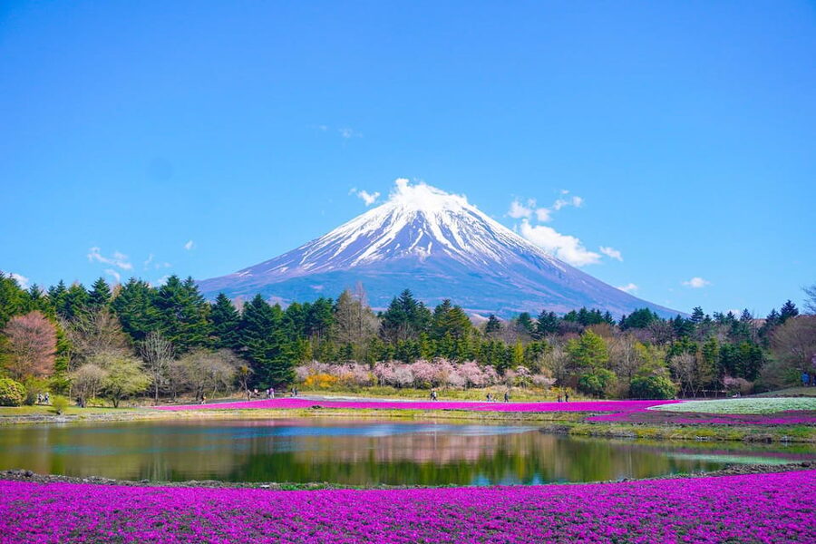 From Tokyo: Mount Fuji & Hakone Customize Private Day Tour - Traffic, timing, and the Fuji weather gamble