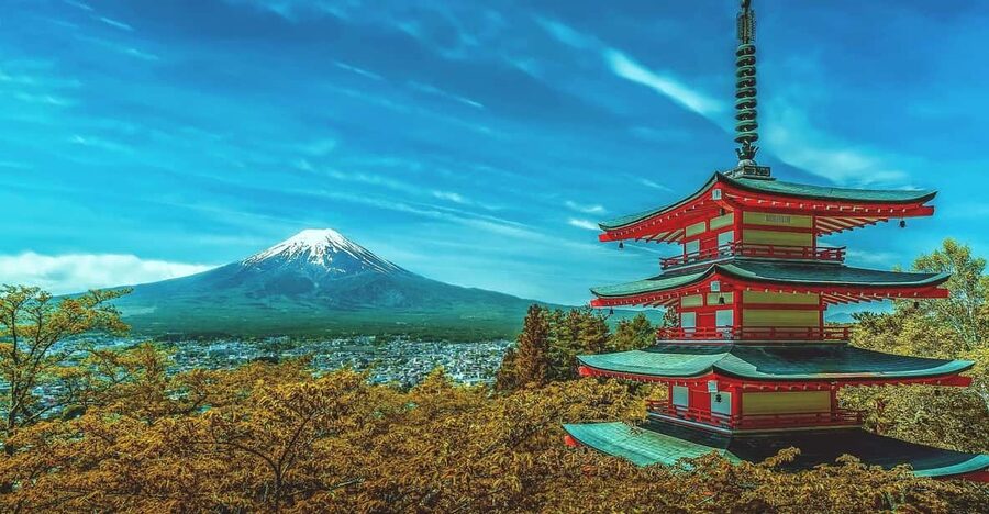 From Tokyo: Mount Fuji & Hakone Customize Private Day Tour - A private route from Tokyo to Fuji country