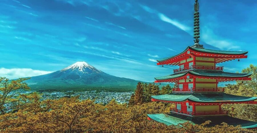 From Tokyo: Mount Fuji & Hakone Customize Private Day Tour - Oishi Park and seasonal flowers