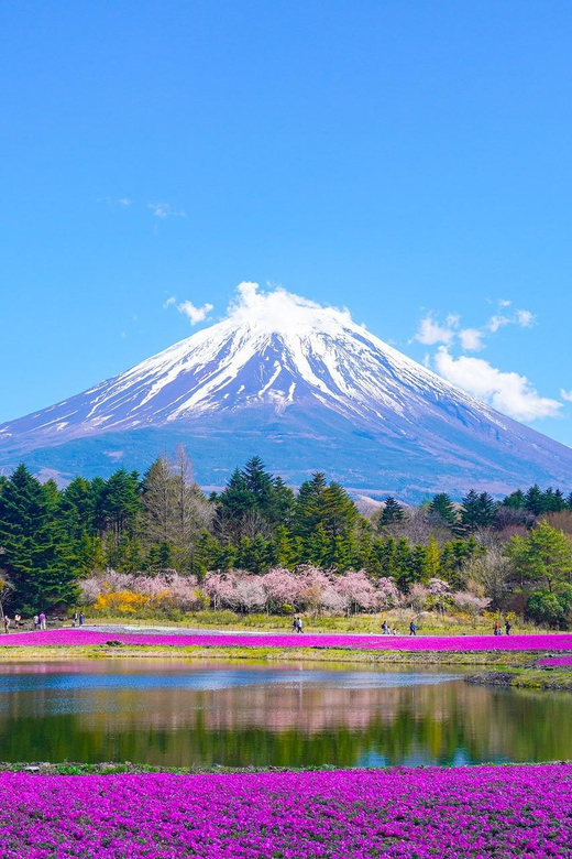 From Tokyo: Mount Fuji & Hakone Customize Private Day Tour - What the private vehicle changes