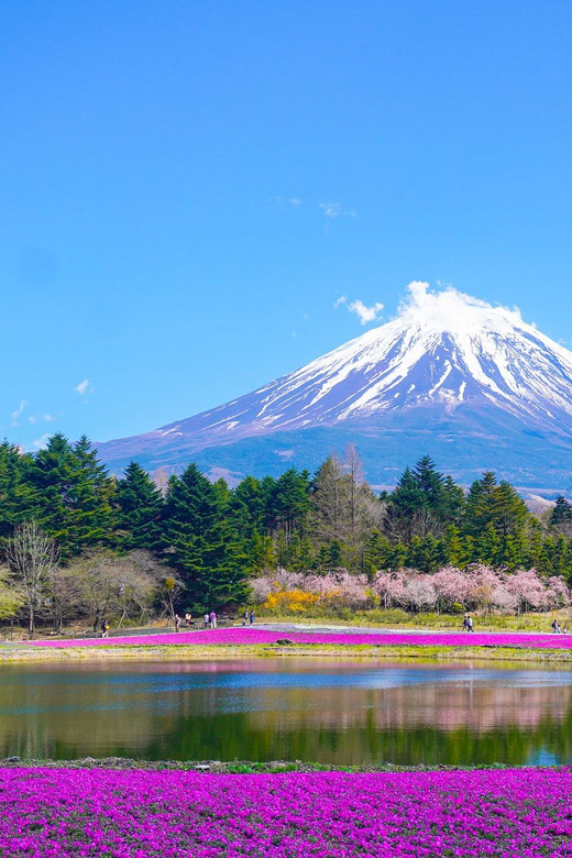 From Tokyo: Mount Fuji & Hakone Customize Private Day Tour - Chureito Pagoda and the classic Fuji photograph