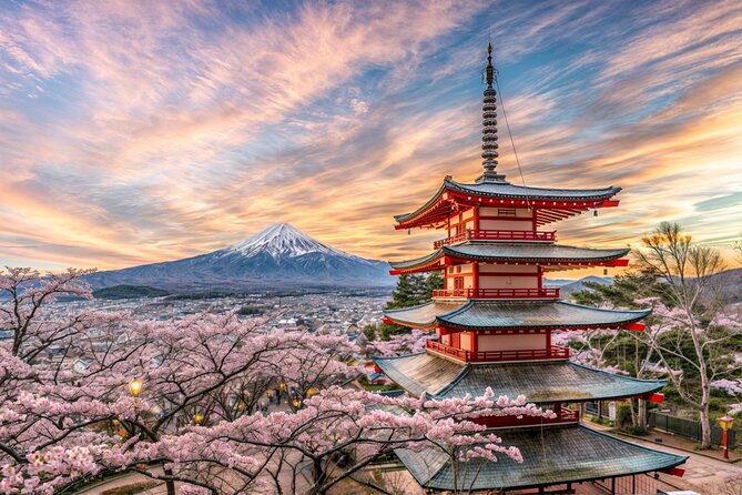 From Tokyo: Mt Fuji and Hakone Private Day Trip - Start by choosing Fuji or Hakone