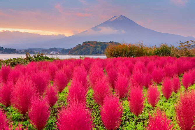 From Tokyo: Mt Fuji and Hakone Private Day Trip - Mishima Sky Walk opens the Hakone day
