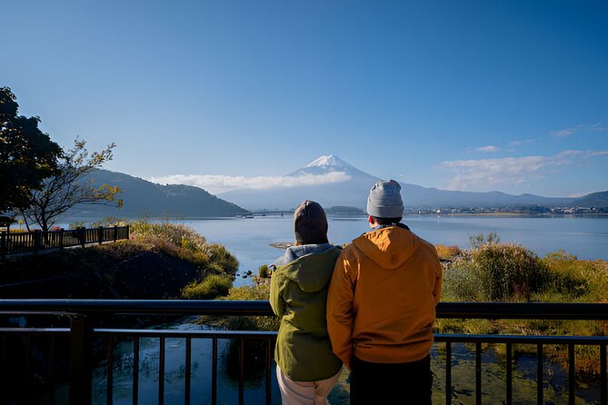 From Tokyo: Mt Fuji and Hakone Private Day Trip - The Hakone Ropeway depends on weather and timing