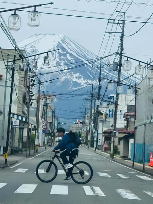 From Tokyo: Mt. Fuji & Hakone Private Day Trip - Oshino Hakkai and Fuji snowmelt ponds