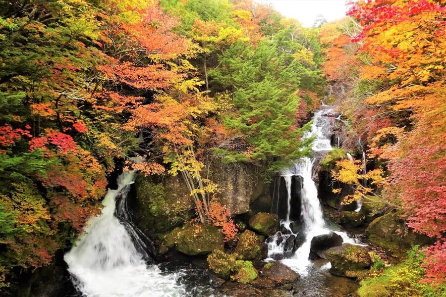 From Tokyo: Nikko World Heritage Site Private Full-Day Trip - Why a private car changes the Nikko day