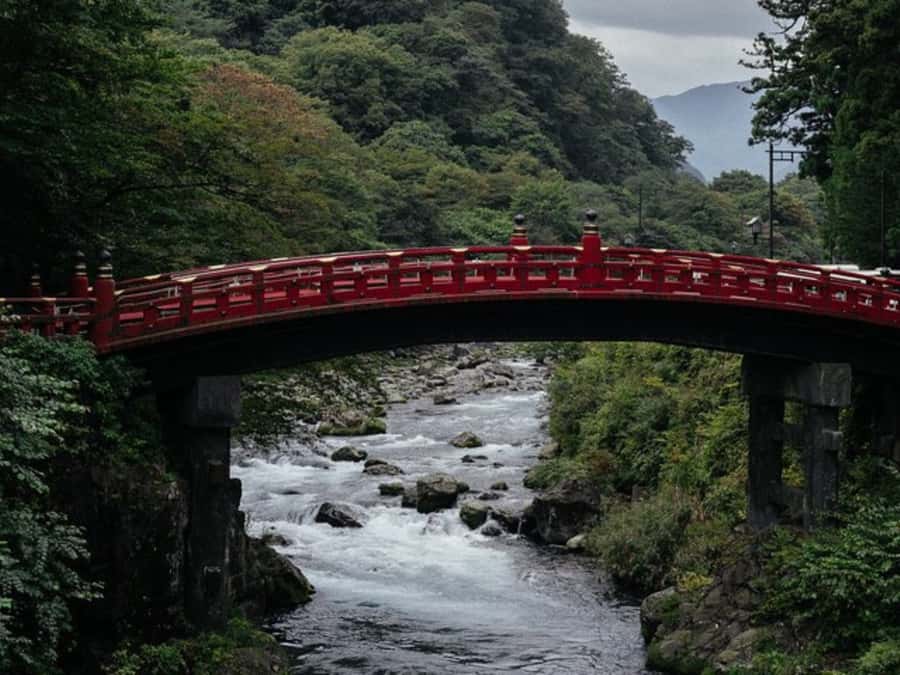 From Tokyo: Private Nikko World Heritage Sights One Day Trip - Who will get the most from this day