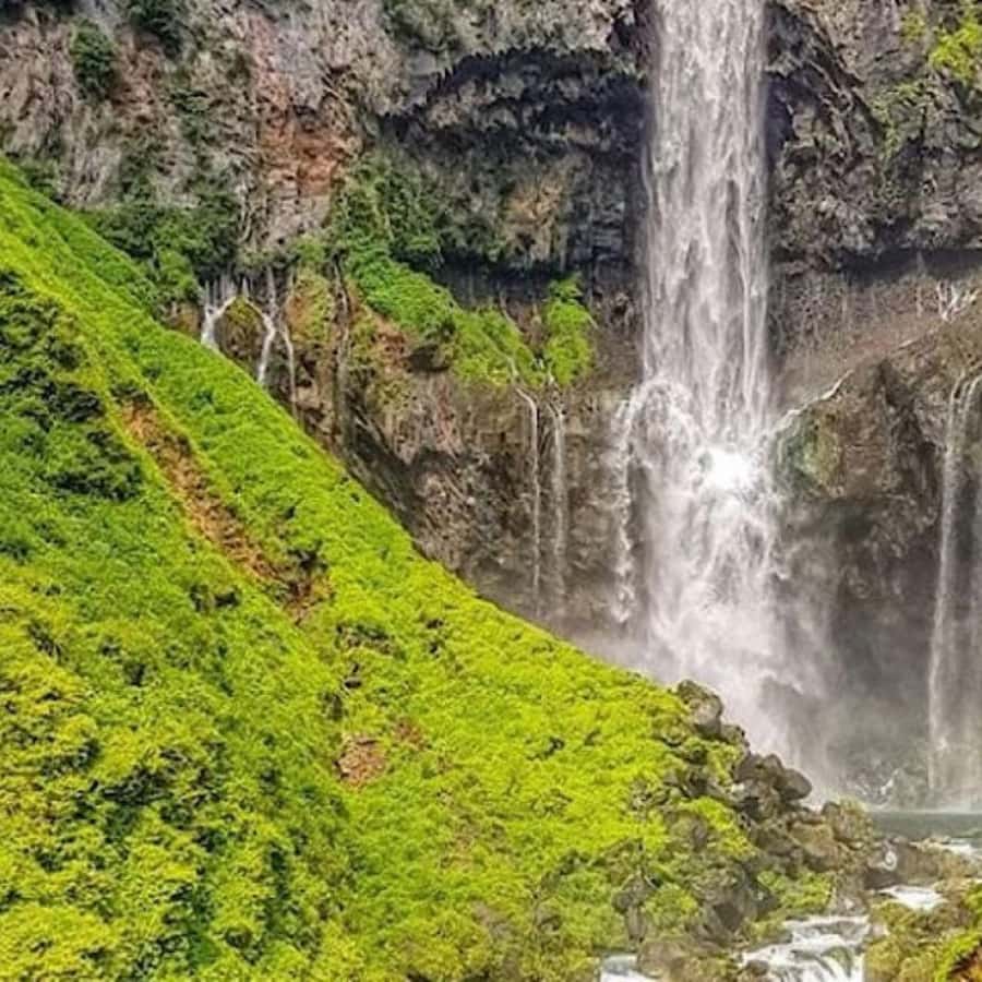 From Tokyo: Private Nikko World Heritage Sights One Day Trip - Kegon Falls, Nikko’s great natural show