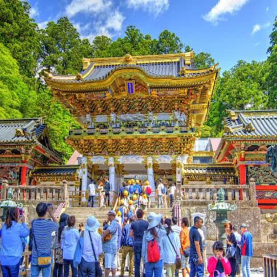 From Tokyo: Private Nikko World Heritage Sights One Day Trip - Shinkyo Bridge and the river below