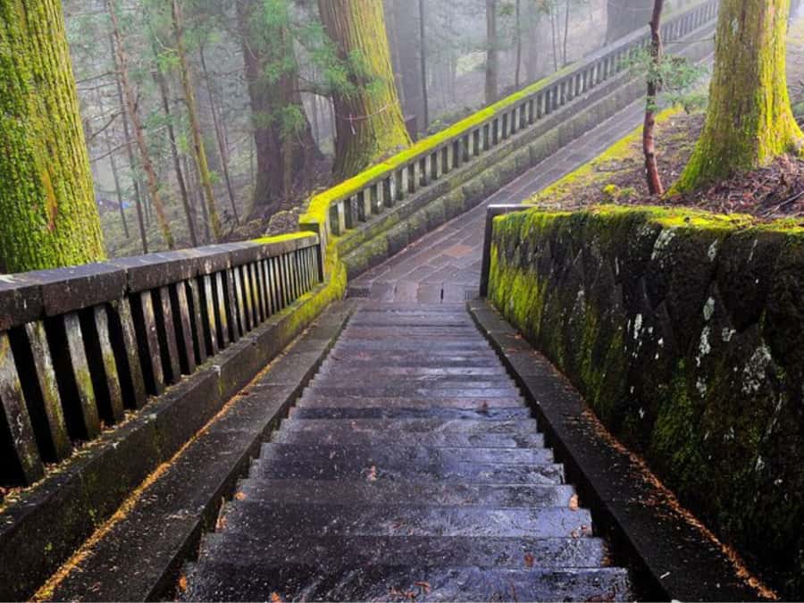 From Tokyo: Private Nikko World Heritage Sights One Day Trip - Extra stops and flexible planning