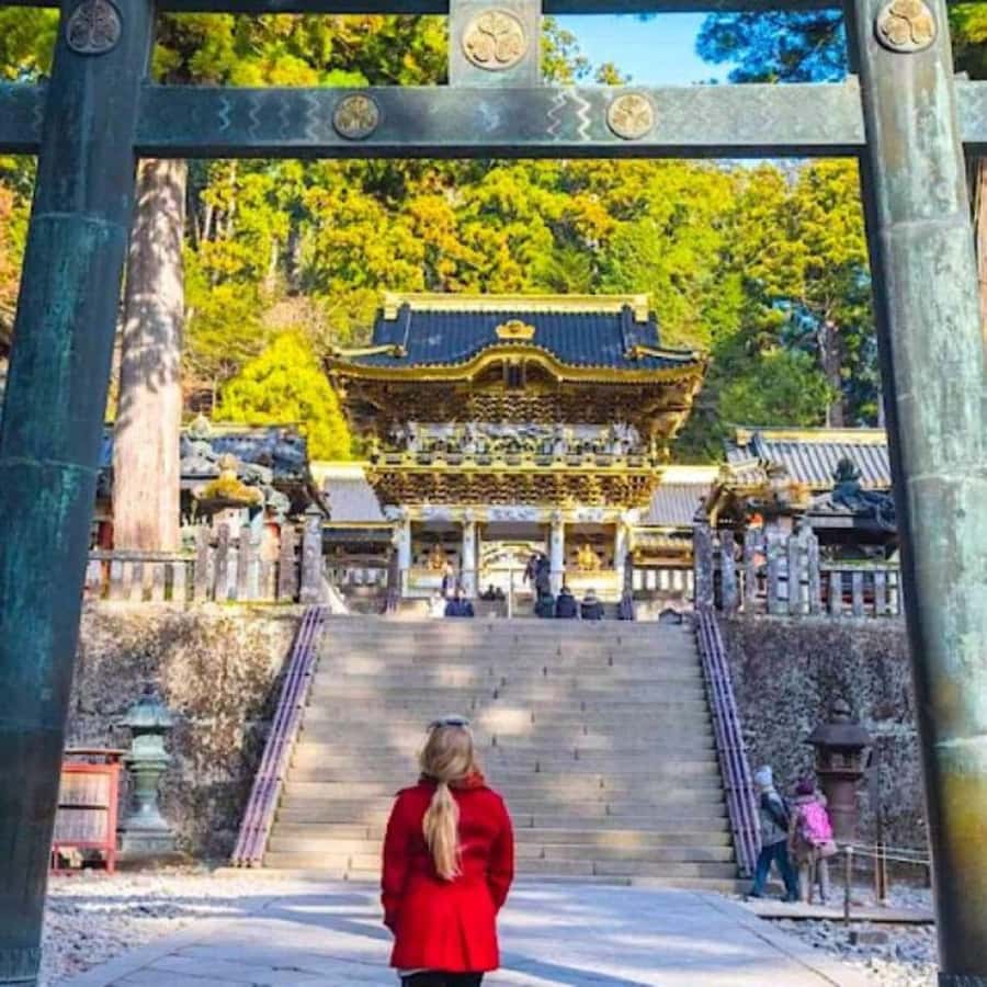From Tokyo: Private Nikko World Heritage Sights One Day Trip - What the private vehicle changes