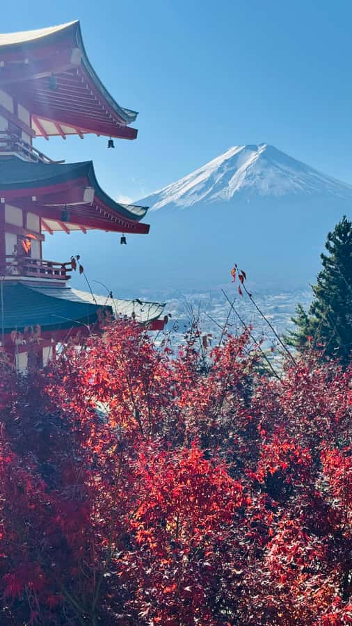 From Tokyo/Yokohama: Mt.Fuji & Hakone Private Day Tour - Shimoyoshida Honcho Street and the classic Fuji view