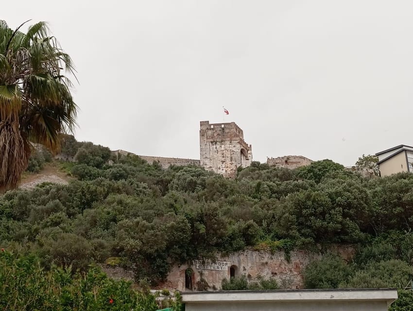 From Torremolinos: Day Trip to Gibraltar - Cable car, local bus, or town only