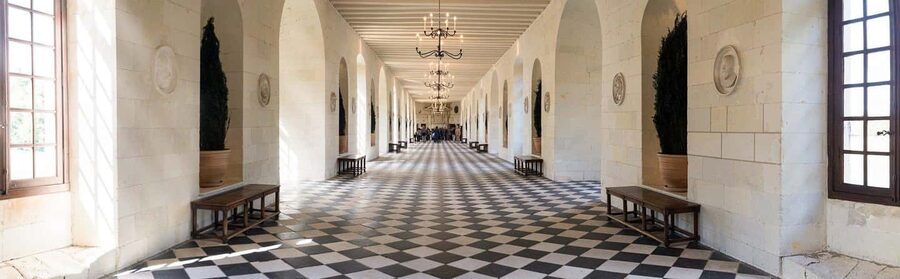 From Tours/Amboise: Chenonceau & Chambord Chateaux Day Trip - Is nine hours enough?