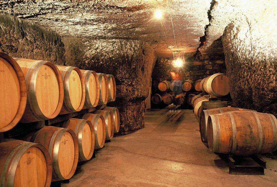 From Tours: Loire Valley Wineries Day Trip with Tastings - Chinon after the first tasting