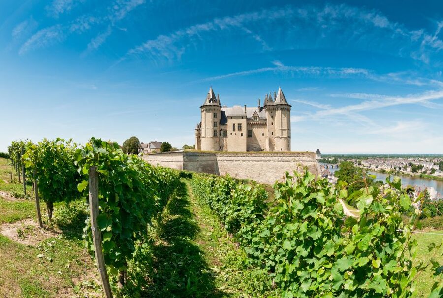 From Tours: Loire Valley Wineries Day Trip with Tastings - What the small group adds