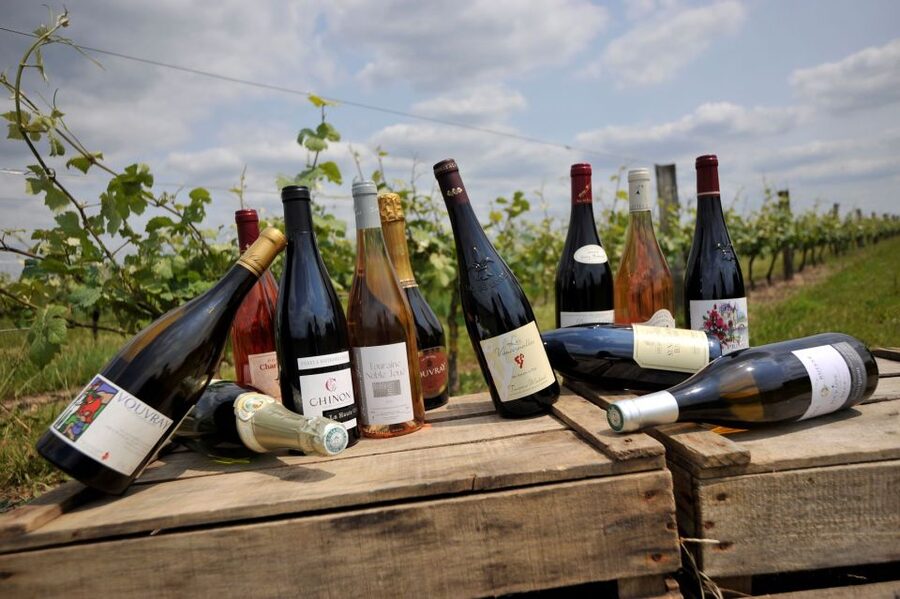 From Tours: Loire Valley Wineries Day Trip with Tastings - Is $182 a fair price?