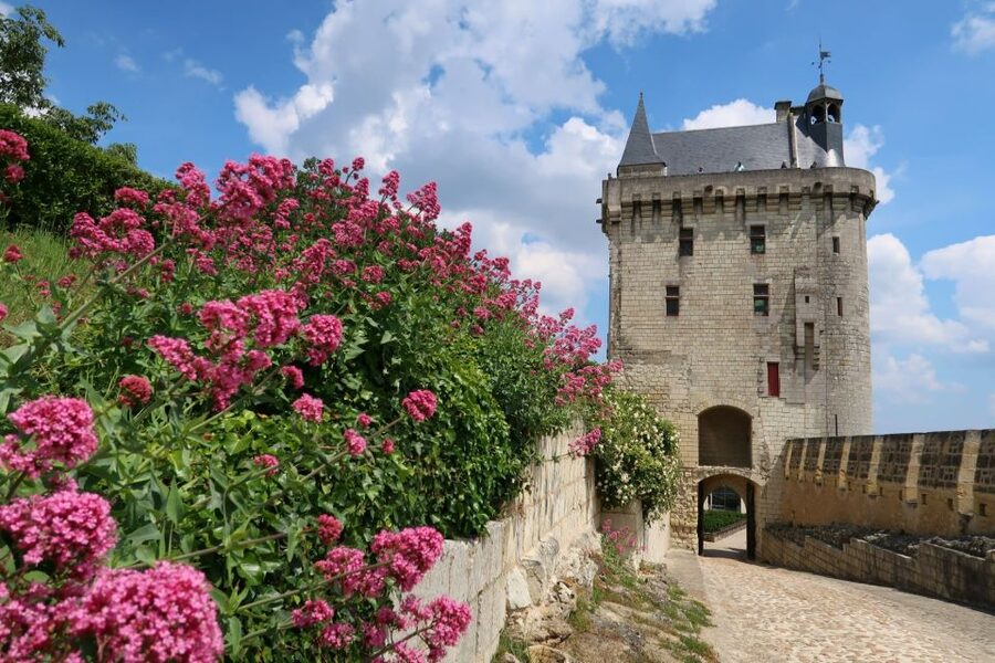From Tours: Loire Valley Wineries Day Trip with Tastings - Who should book this day