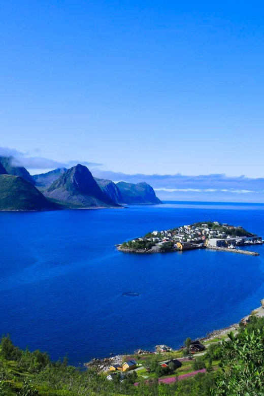 From Tromsø:（Chinese）Senja Day Trip - Bergsbotn’s high viewpoint