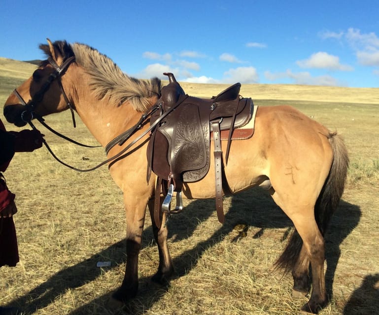 From Ulaanbaatar: Day Trip to Hustai National Park - Why Hustai makes sense as a short Mongolia outing