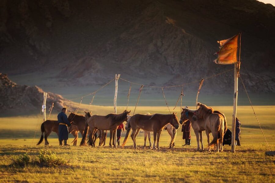 From Ulaanbaatar: Day Trip to Hustai National Park - What the guide adds to the day