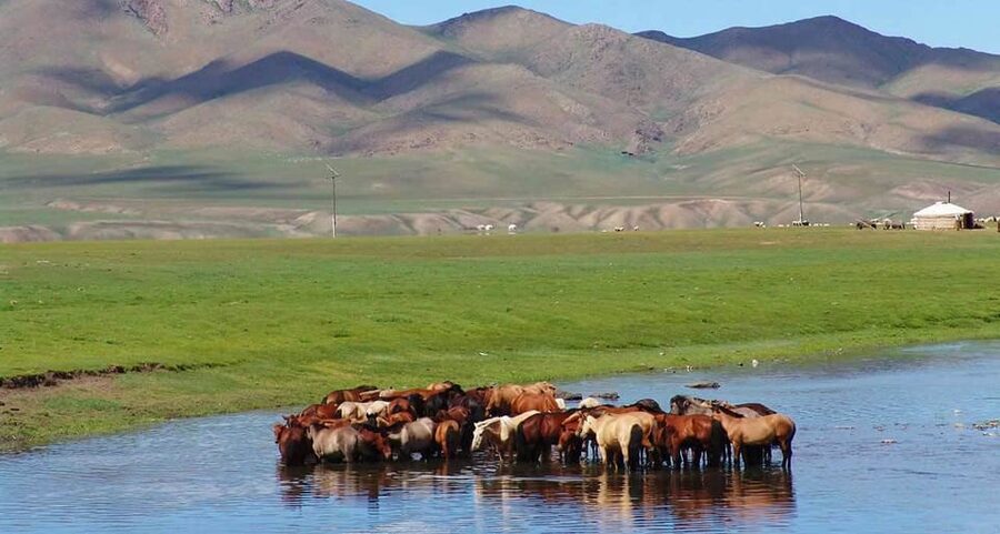 From Ulaanbaatar: Day Trip to Hustai National Park - Is $195 a fair price?