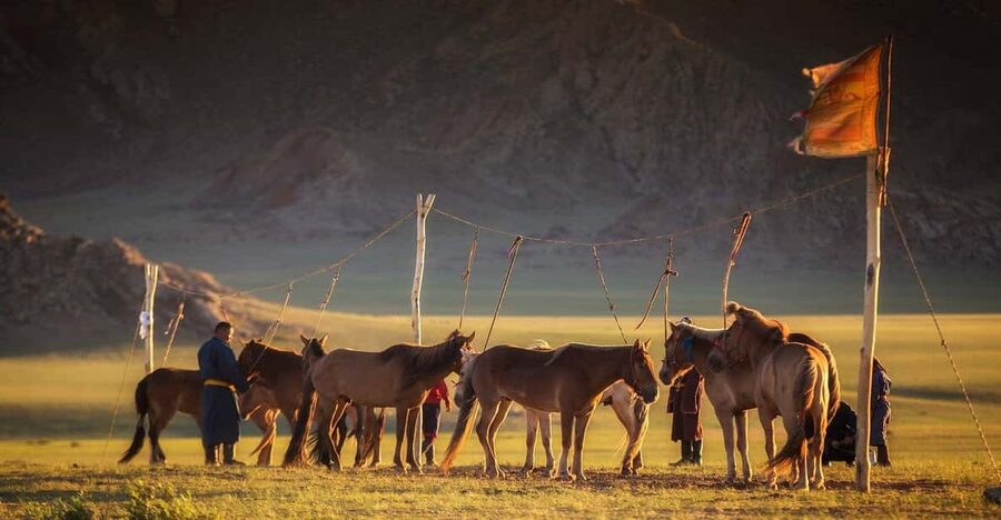 From Ulaanbaatar: Day Trip to Hustai National Park - Weather, clothing, and practical preparation