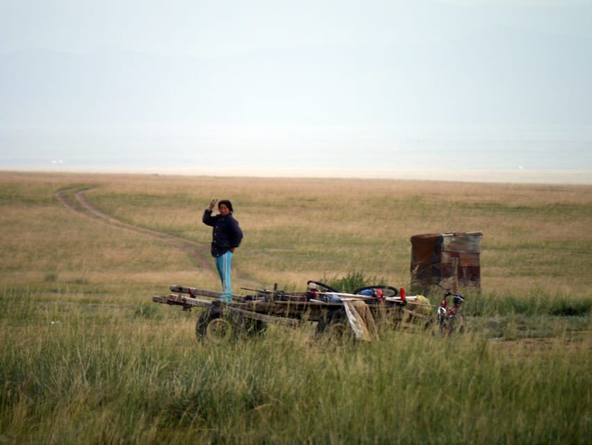 From Ulaanbaatar: Day Trip to Hustai National Park - Who should book this Hustai day trip?