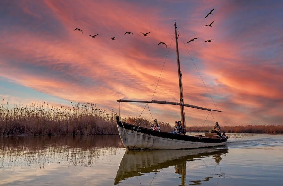 From Valencia: Albufera Day Trip with Boat Tour and Transfer - Key points to know before you go