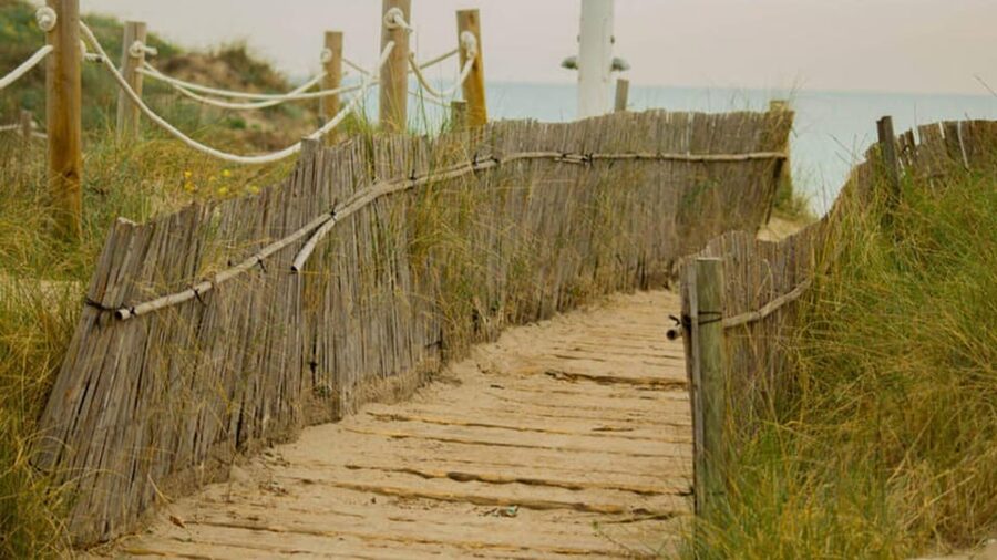 From Valencia: Albufera Day Trip with Boat Tour and Transfer - The boat ride and the changing light