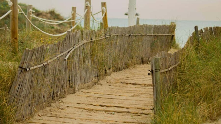 From Valencia: Albufera Day Trip with Boat Tour and Transfer - From Serranos Towers to the El Saler dunes