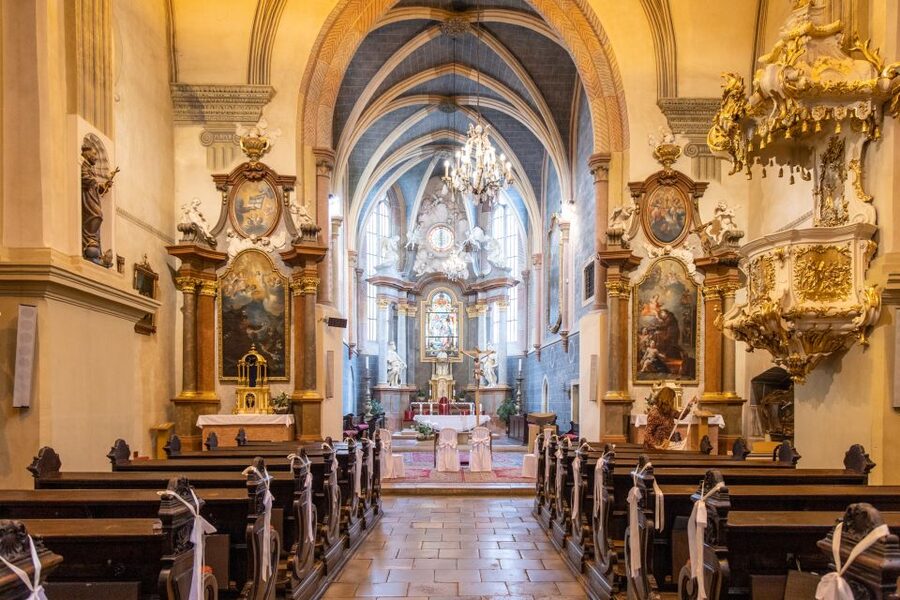 From Vienna: Bratislava Day Trip - Who should book this day trip