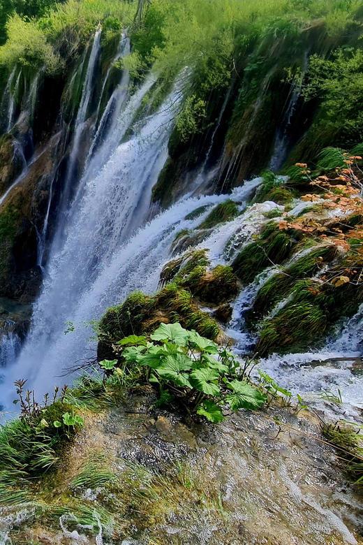 From Zadar: Plitvice Lakes Day Trip with Guide and Boat Tour - Entering Plitvice with reserved access