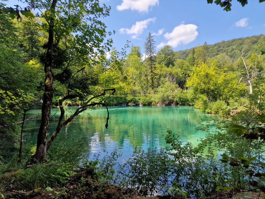 From Zadar: Plitvice Lakes Day Trip with Guide and Boat Tour - How the guide actually helps