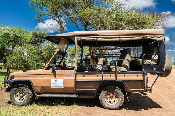 From Zanzibar: Mikumi Safari Day Trip with Flights and Meal - The afternoon search and return to the airstrip