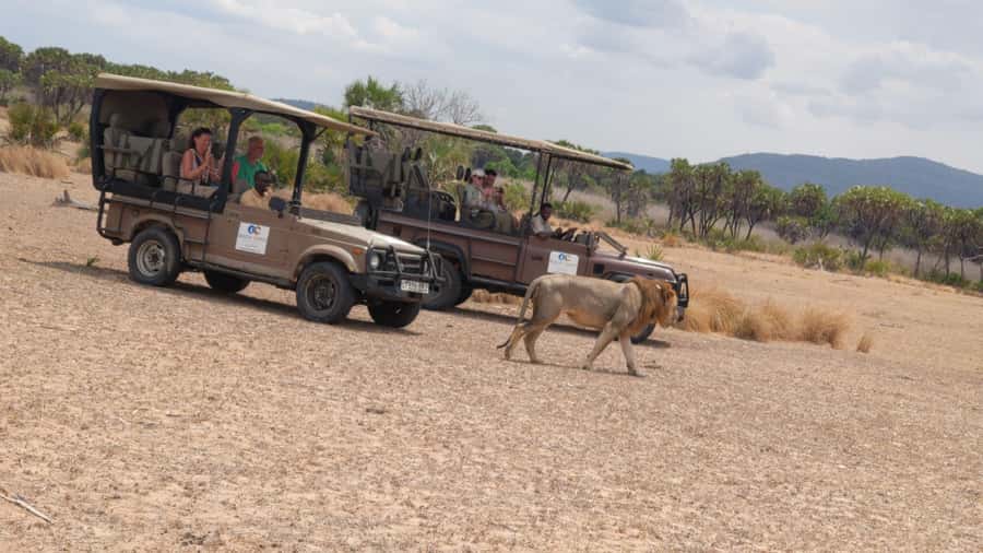 From Zanzibar: Mikumi Safari Day Trip with Flights and Meal - What $451 buys you
