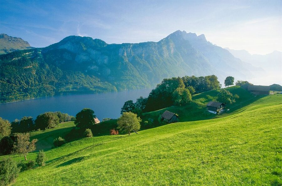 From Zurich: Bus Day Trip to Heidiland and Liechtenstein - What this Zurich day trip is really offering