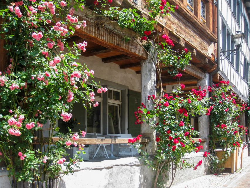 From Zurich: Bus Day Trip to Heidiland and Liechtenstein - Comfort, guiding, and the pace of the day