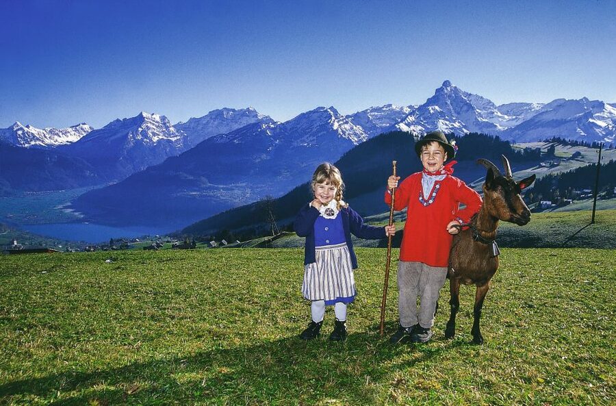 From Zurich: Bus Day Trip to Heidiland and Liechtenstein - Ricken Pass turns the transfer into part of the tour