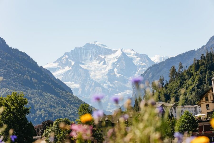 From Zurich: Day Trip to Jungfraujoch - Top of Europe - Ice Palace and Alpine Sensation