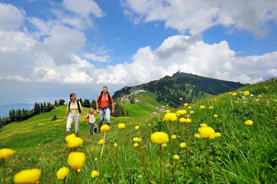 From Zurich: Day Trip to Rigi and Lake Lucerne - The historic cogwheel train down to Vitznau