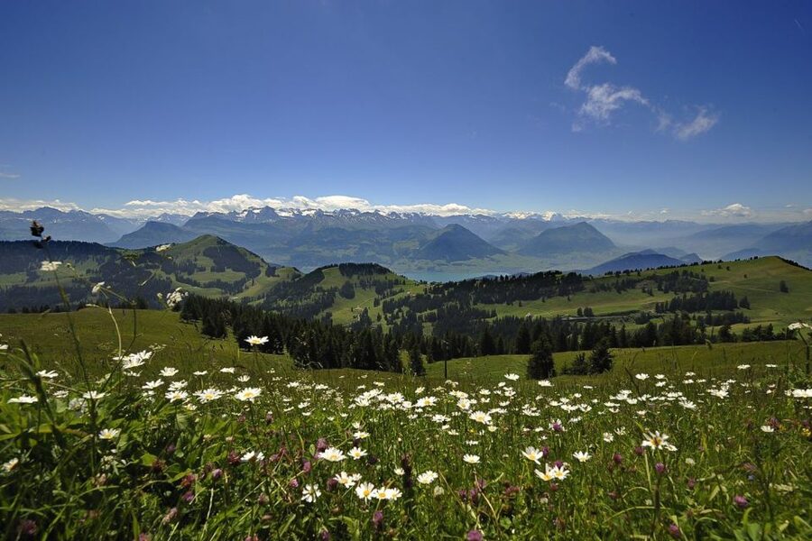 From Zurich: Day Trip to Rigi and Lake Lucerne - Lake Lucerne by boat, then a look at Lucerne