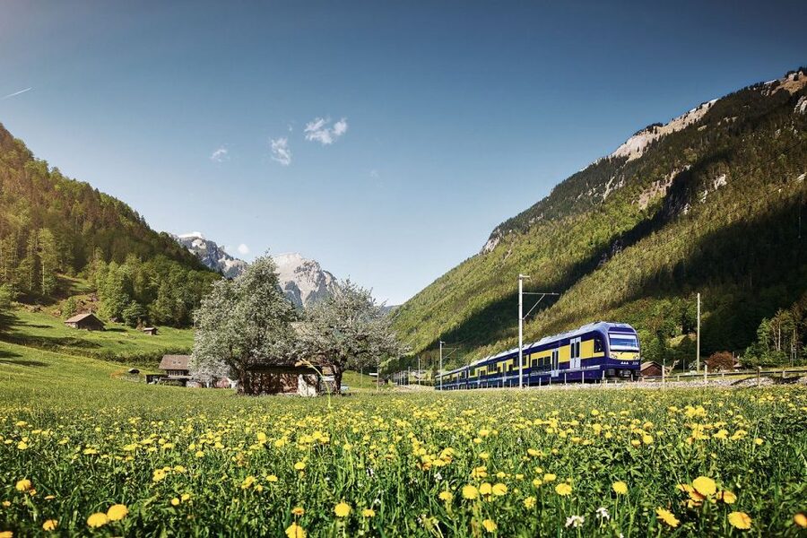 From Zurich: Grindelwald First Mountain Adventure Day Trip - Interlaken gives you a quick first look
